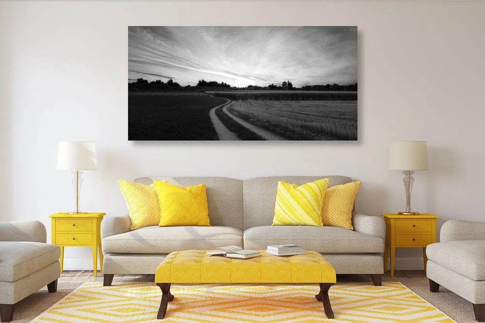 Stampa su tela – Tramonto sul paesaggio in bianco e nero
