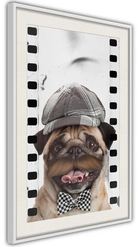 Poster  Dressed Up Pug  Cornice Quadri Cornice nera con pass-partout, Larghezza x Altezza Home decor 40x60