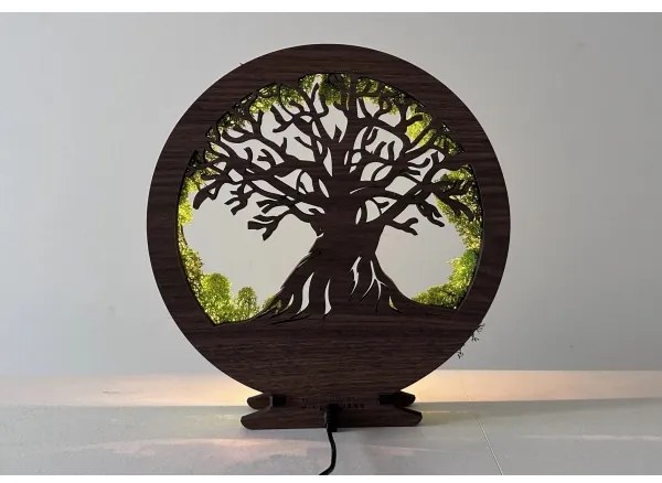 Li-Go 23631/DUB2 - Lampada da tavolo decorativa a LED dimmerabile, 12W/230V, 30×31 cm, finitura rovere