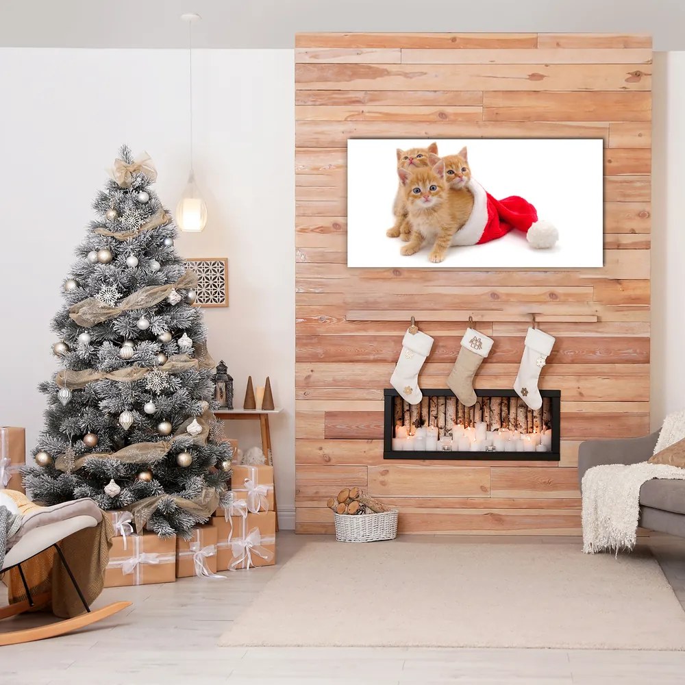 Quadro su vetro Gatti Babbo Natale 100x50 cm 2 appendini