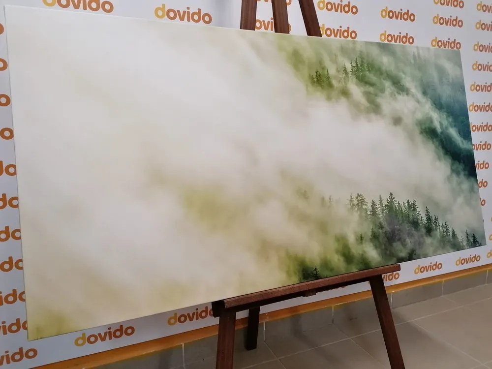 Quadro su tela – Foresta nebbiosa