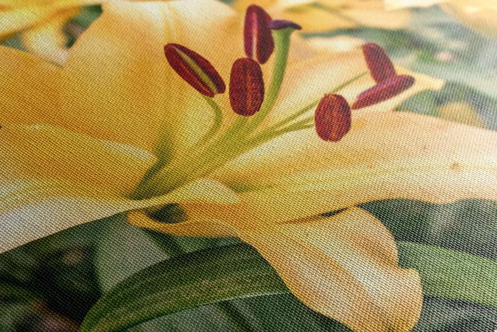 Stampa su tela – Giglio giallo