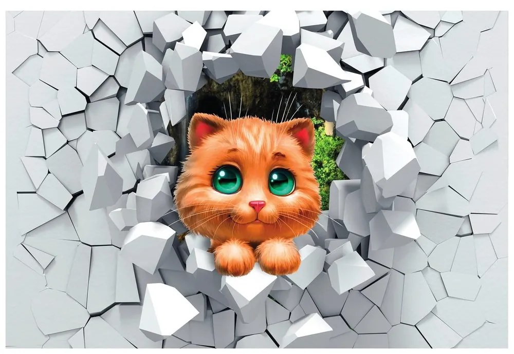 Carta da parati – Gattina carina