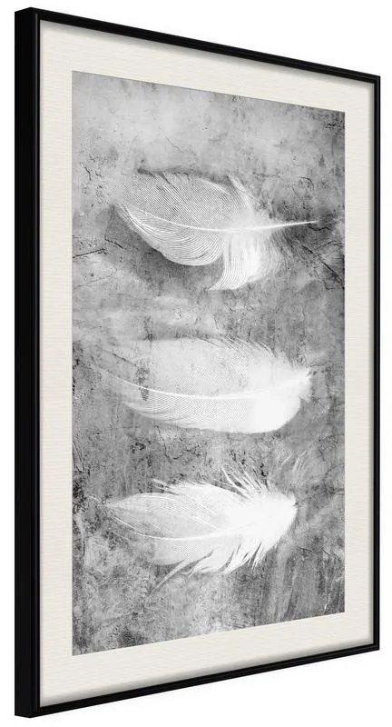 Poster  Delicate Feathers  Cornice Quadri Cornice nera con pass-partout, Larghezza x Altezza Home decor 40x60