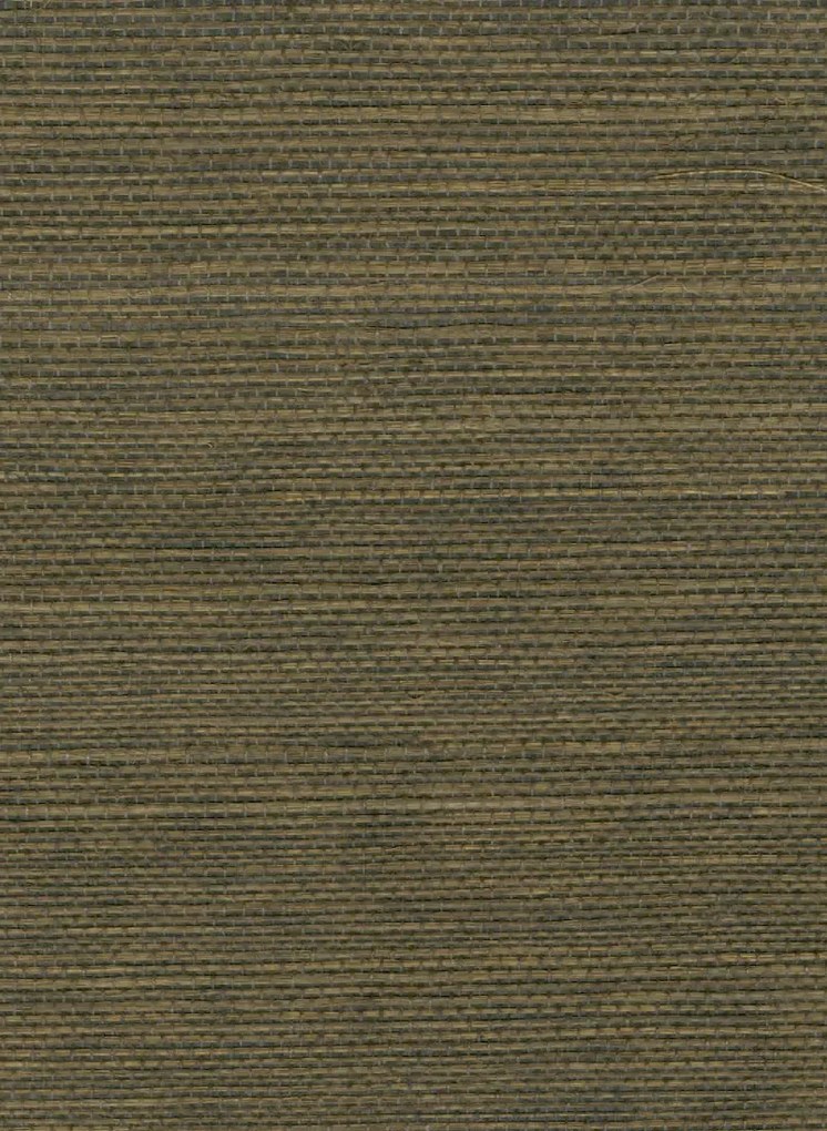 Élitis Tapete Sisal - RM 1069 60