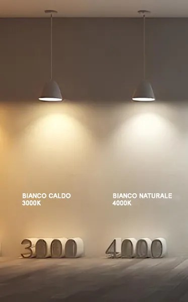 Plafoniera in metallo Argento con diffusore perimetrale D30 cm Led ELISA