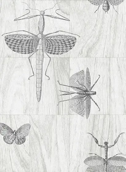 Arte International Carta da parati Wings - 42001