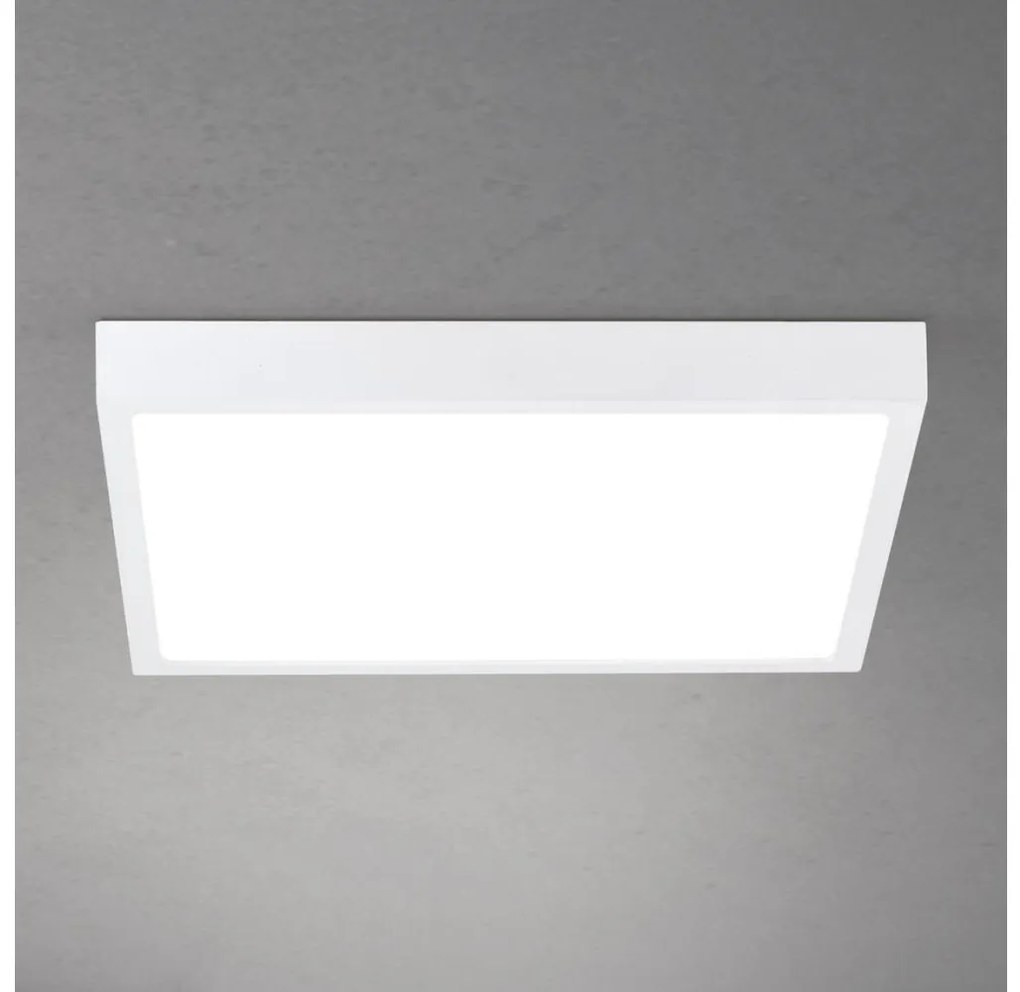 Orion - Plafoniera LED dimmerabile DISC LED/30W/230V 2700/3000/4000K 39x39 cm bianca