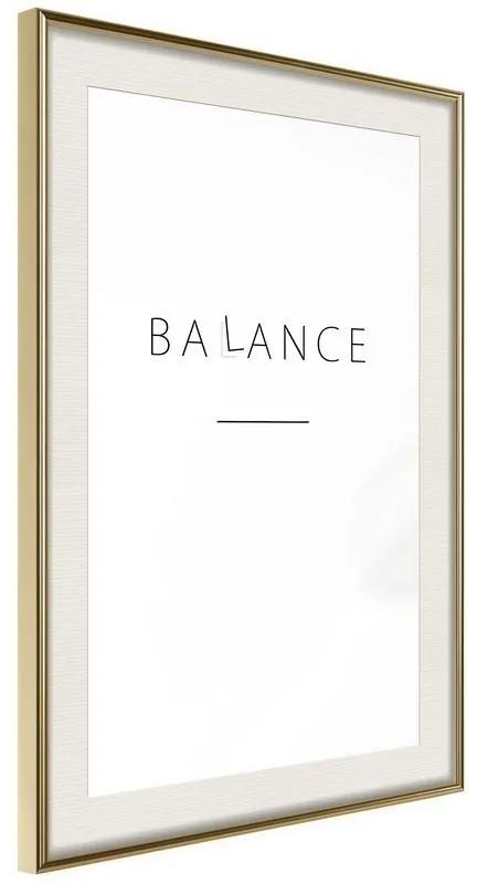 Poster Seek a Balance