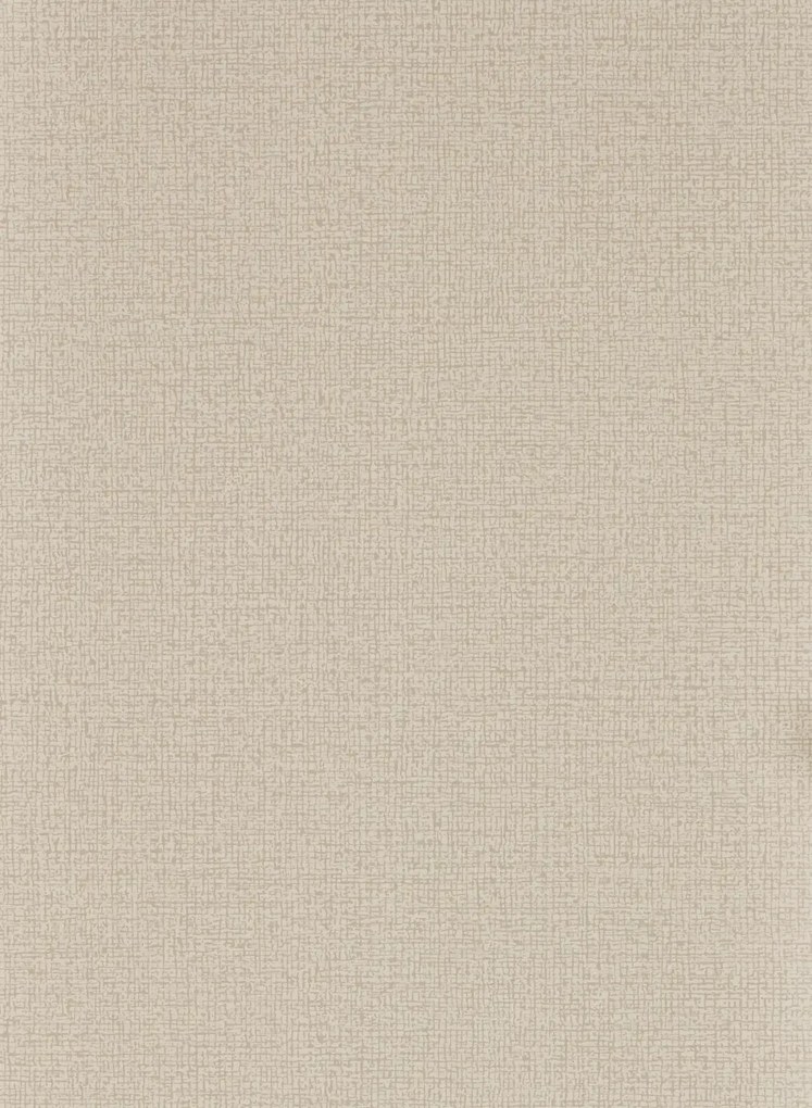 Clarke & Clarke Carta da parati Ryman - Linen