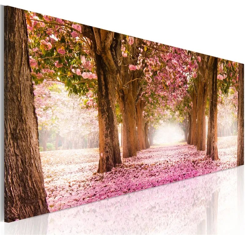 Quadro Tra sogni  Colore Rosa, Dimensioni e Misure 150x50