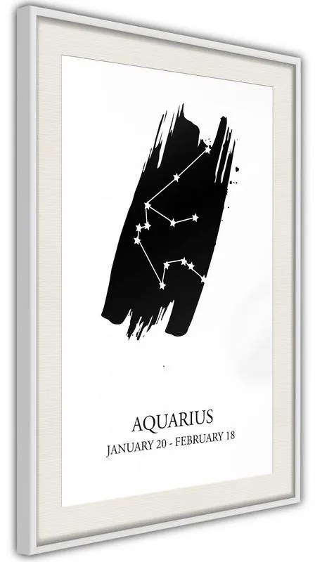 Poster  Zodiac: Aquarius I  Cornice Quadri Cornice nera con pass-partout, Larghezza x Altezza Home decor 20x30