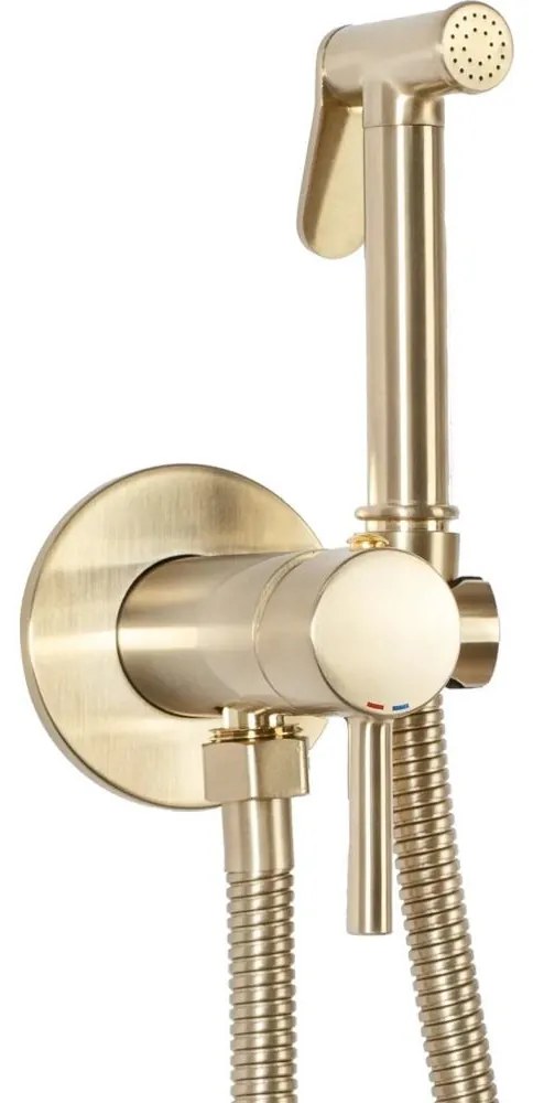 REA-B6311 -Miscelatore bidet con doccetta per installazione ad incasso LUNGO oro spazzolato