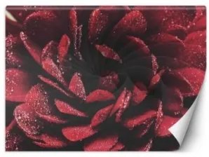 Carta Da Parati, Fiore in scala macro 450x315