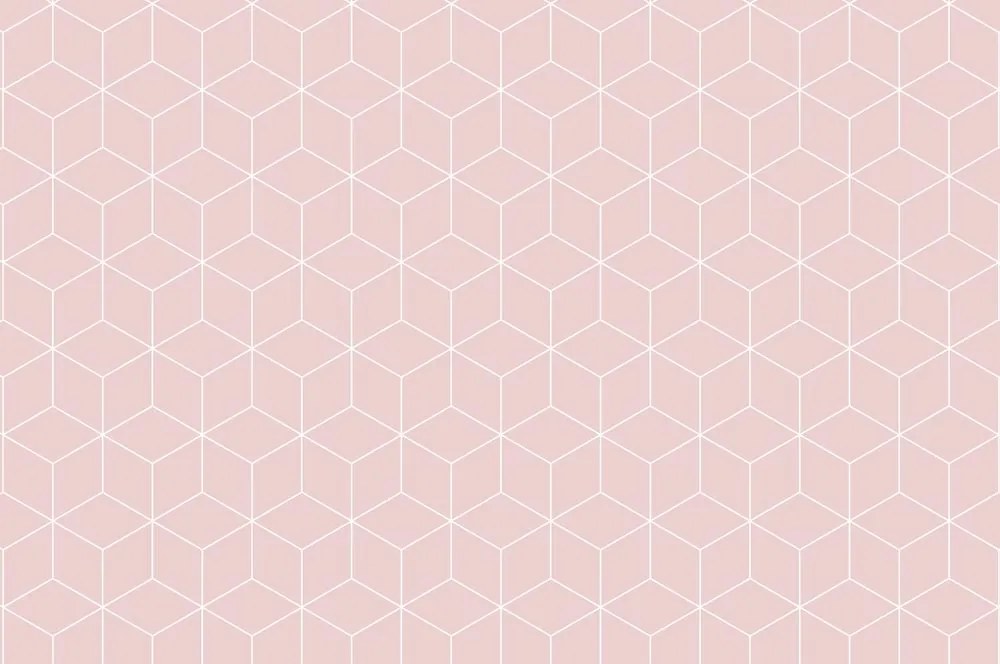 Carta da parati – Cubi rosa