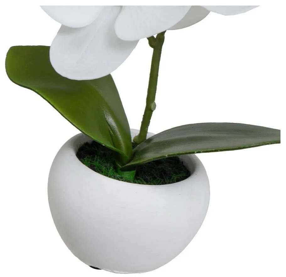 Piante artificiali in set da 3 (altezza 15 cm) Orchid - Casa Selección
