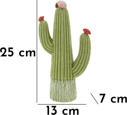 Cactus Cm 13X7X25
