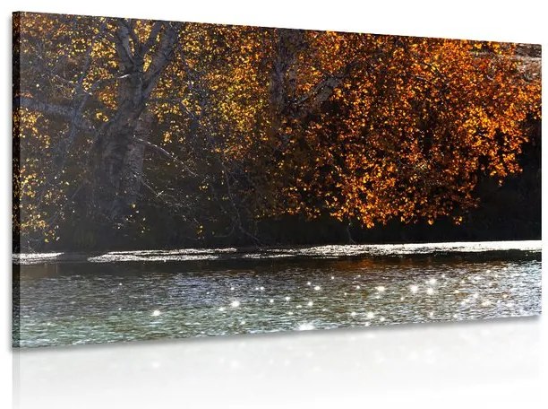 Quadro su tela – Riflesso delle foglie nel lago