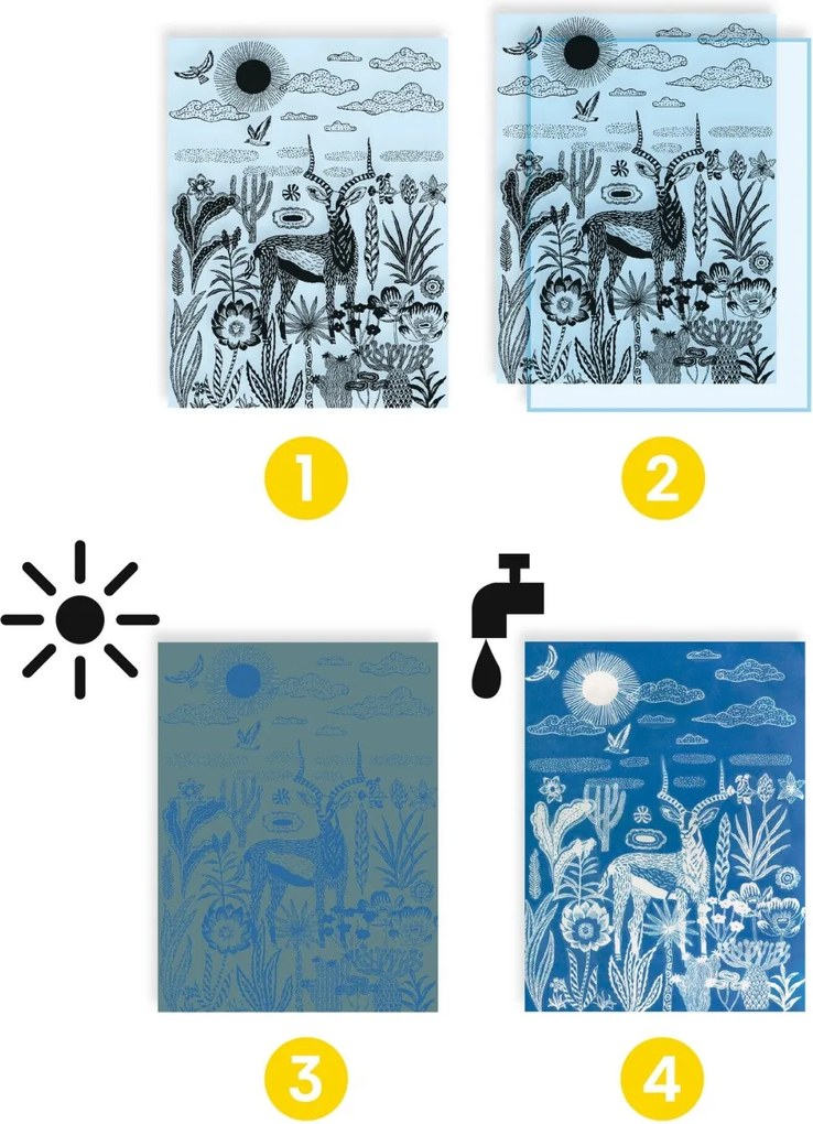 Set creativo - Cianotipia - Notte nella savana