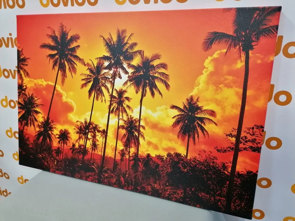 Quadro su tela – Palme di cocco sulla spiaggia