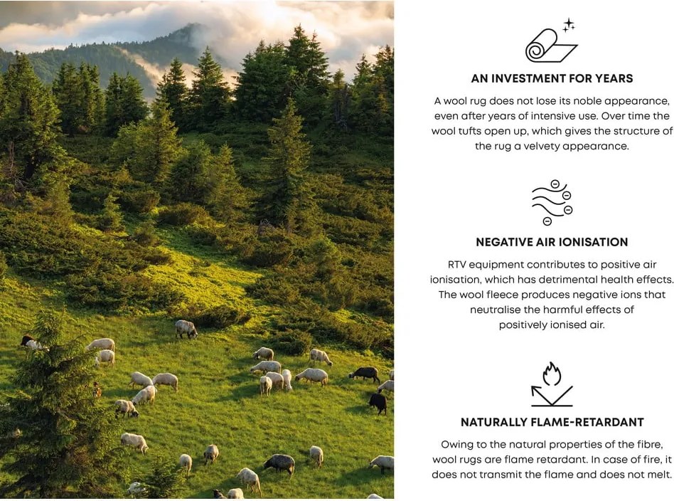 Tappeto in lana blu scuro 133x180 cm Linea - Agnella