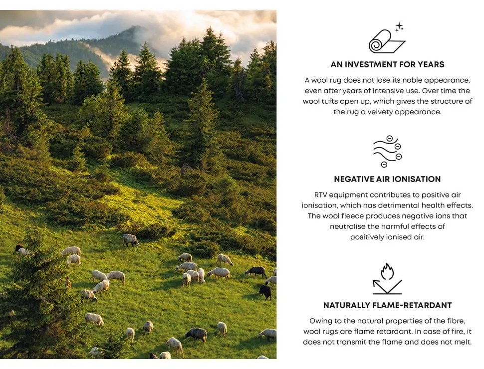 Tappeto in lana grigio crema 120x180 cm Bran - Agnella