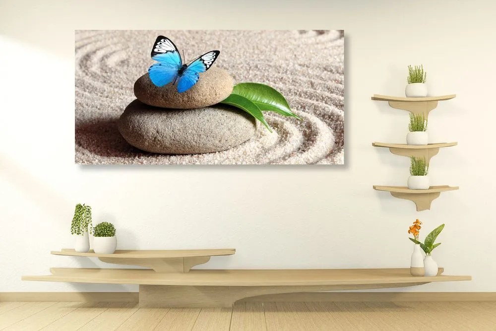 Quadro su tela – Farfalla blu su pietra Zen
