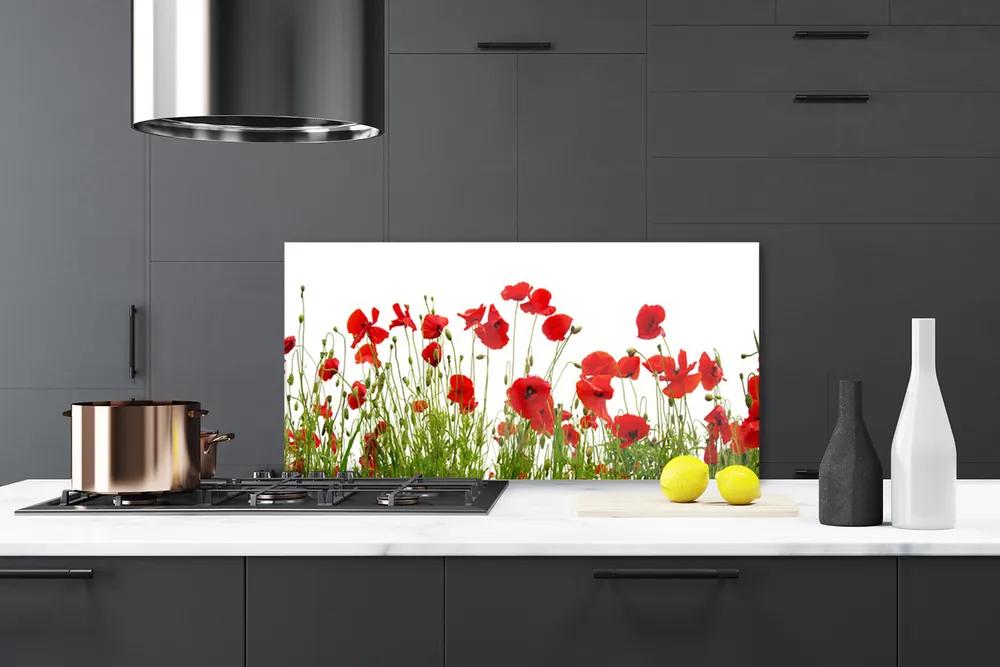 Rivestimento parete cucina Papaveri, fiori, natura 100x50 cm
