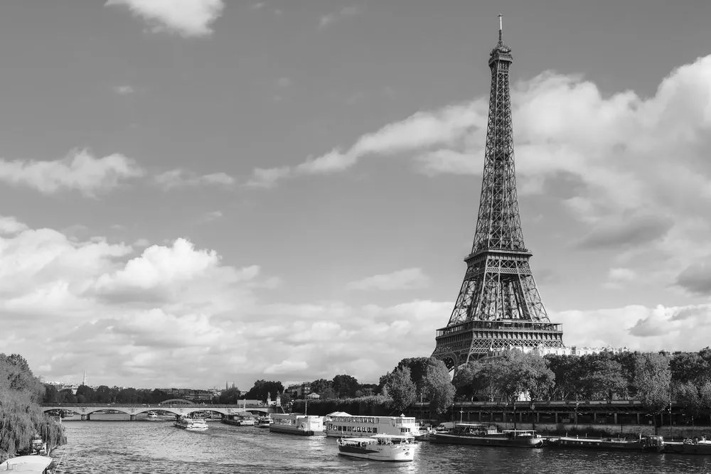Quadro su tela – Panorama mozzafiato di Parigi in bianco e nero