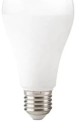 Lampadina LED GS E27/22W/230V 4000K