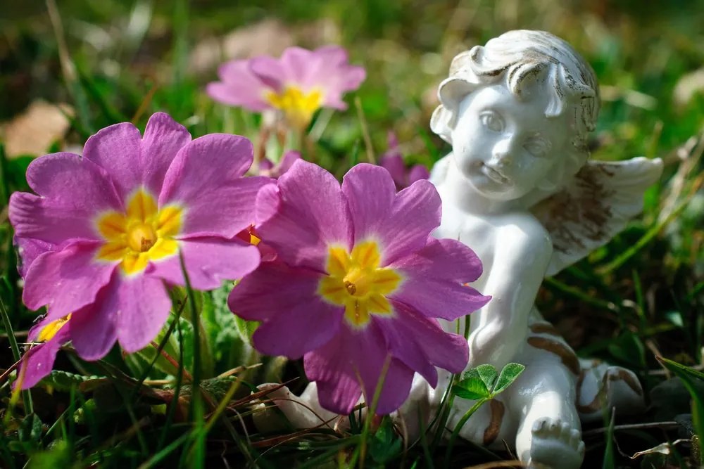 Quadro su tela – Angioletto nel giardino