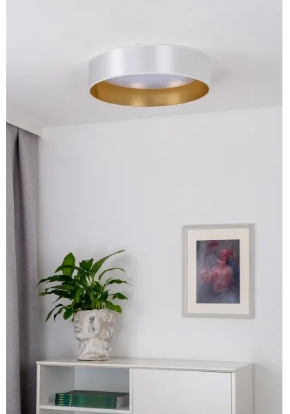 Duolla - Plafoniera LED ROLLER LED/24W/230V diametro 45 cm argento/oro