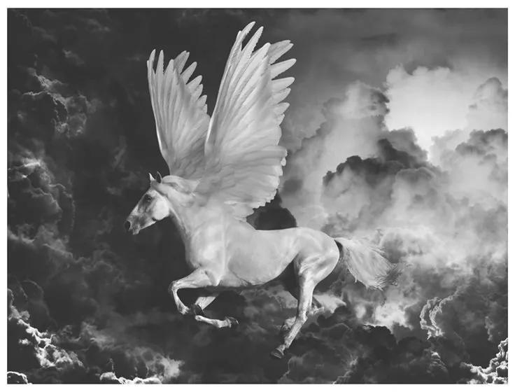 Fotomurale Pegasus sulla strada per l'Olimpo