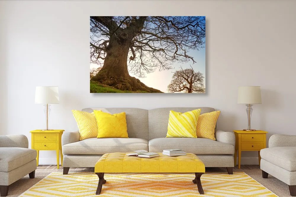 Stampa su tela – Simbiosi degli alberi