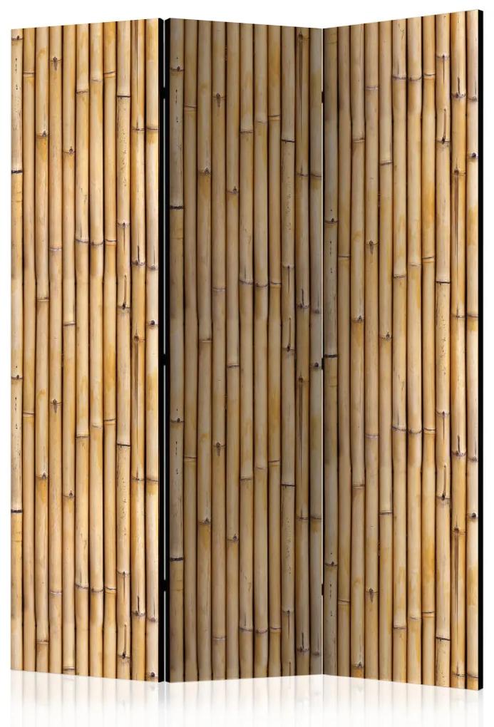 Paravento Muro amazzonico (3-parti) - motivo marrone con motivo vegetale