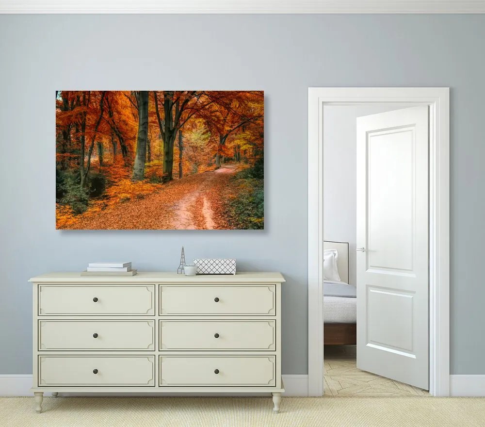 Stampa su tela – Foresta in autunno