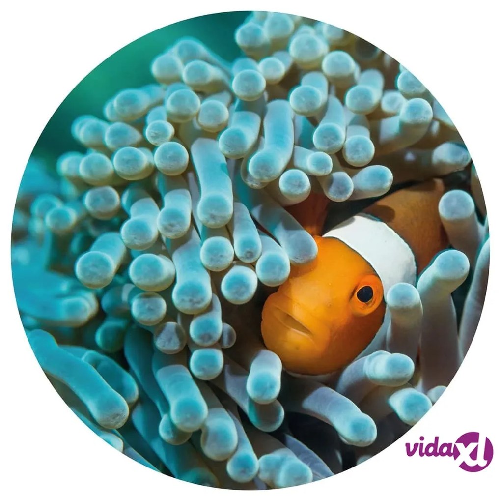 WallArt Carta da Parati Circolare Nemo the Anemonefish 142,5 cm