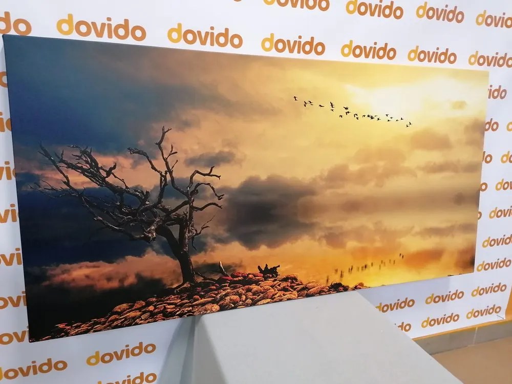 Quadro su tela – Albero secco