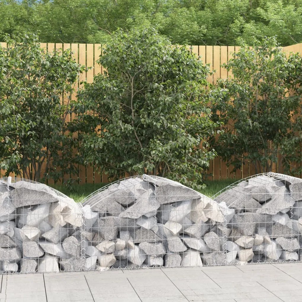 Cesto Gabbione Ad Arco 100x50x40/60 Cm Ferro Zincato /