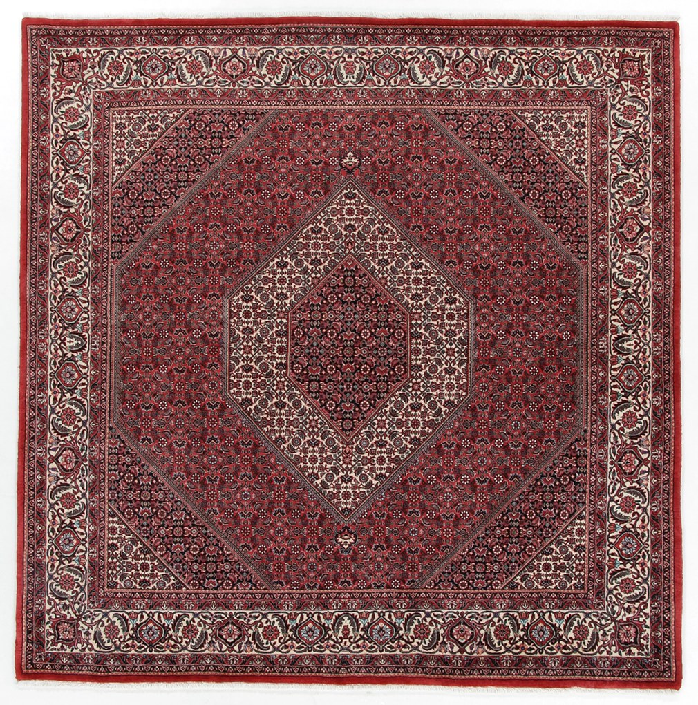 Bidjar Tappeto persiano 210 x 210 (Iran) Annodato A Mano