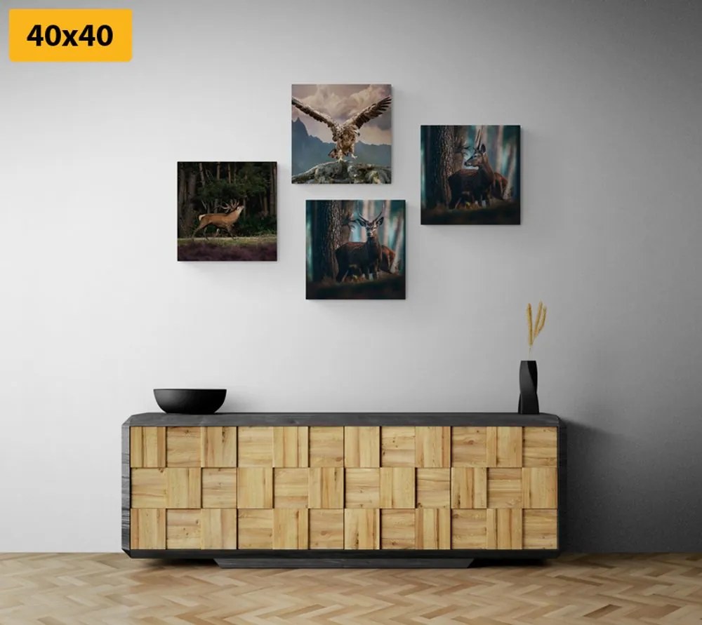 Set di quadri – Bellezza degli animali del bosco