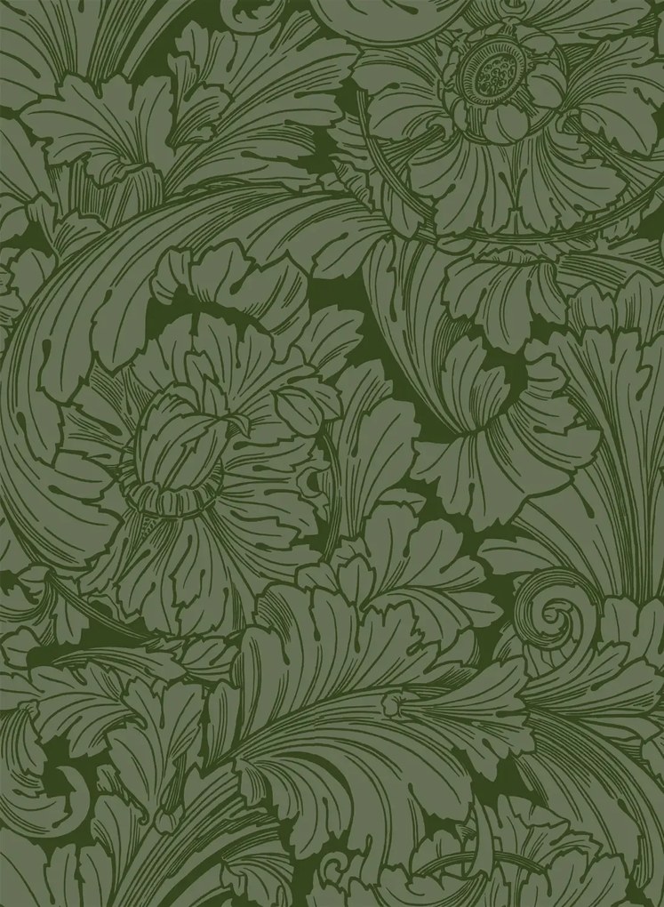 Cole & Son Carta da parati Acanthus - Forest
