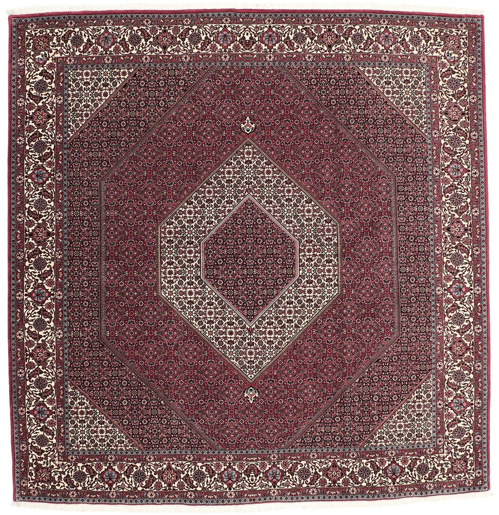 Bidjar Tappeto persiano 260 x 250 (Iran) Annodato A Mano