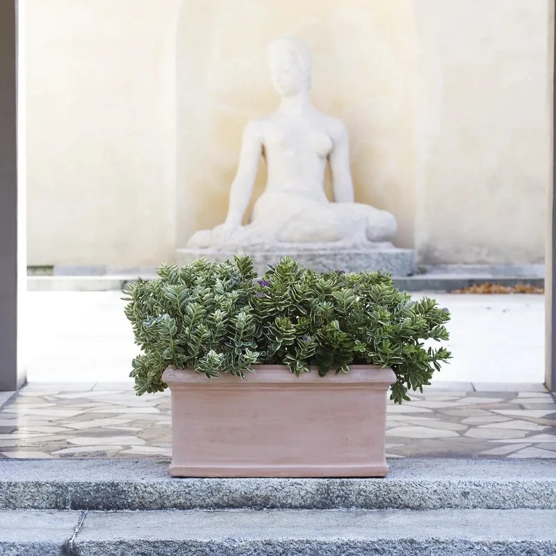 Fioriera Liscia in terracotta terracotta H 44 x L 100 x P 44 cm