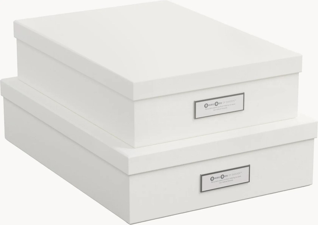 Set di 2 scatole portaoggetti Rasmus