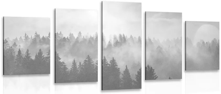 Quadri 5 pezzi – Nebbia sulla foresta in bianco e nero