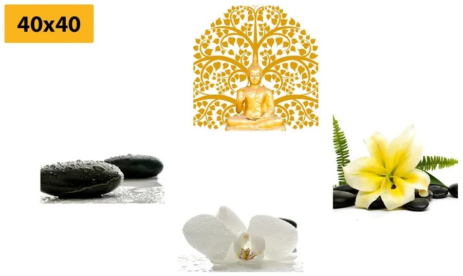 Set di quadri – Natura morta Feng Shui delicata