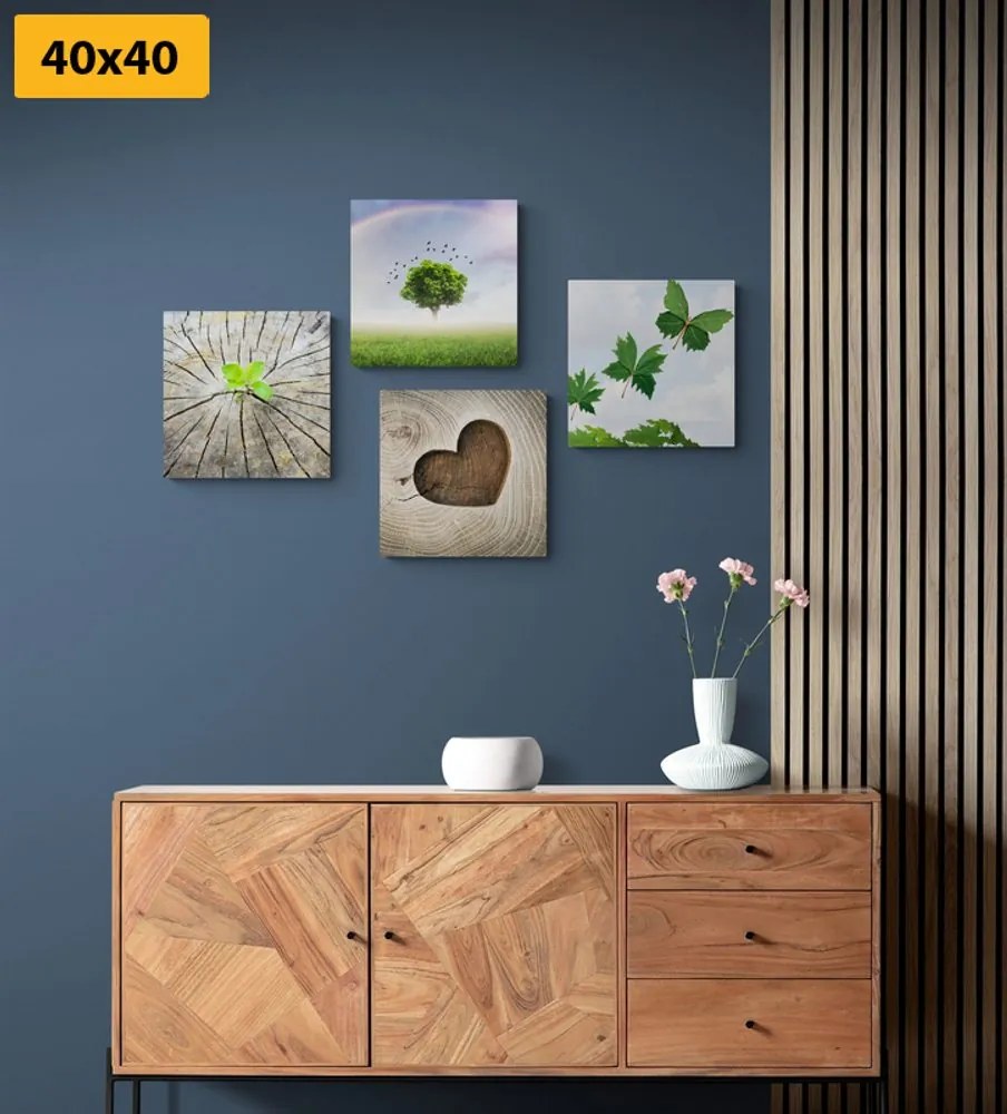 Set di quadri – Angolo unico della natura