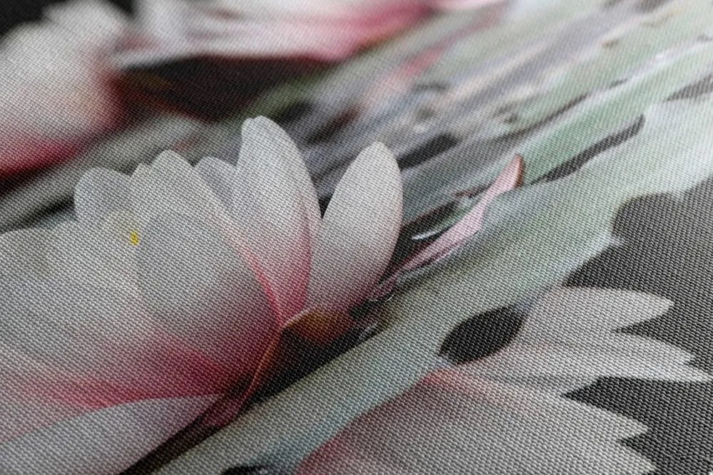Quadro su tela – Fiore di loto