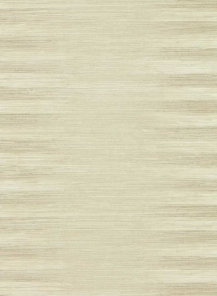 Zoffany Carta da parati Kensington Grasscloth - Paris Grey